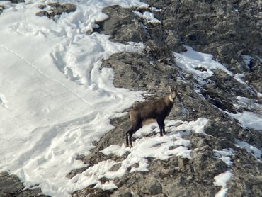 Balades et randonnées en raquettes à Valmeinier