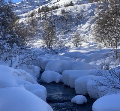 Le torrent de la Neuvache